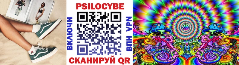 Псилоцибиновые грибы Psilocybe Хасавюрт
